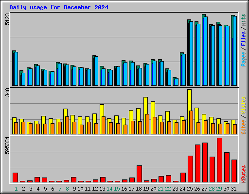 Daily usage for December 2024