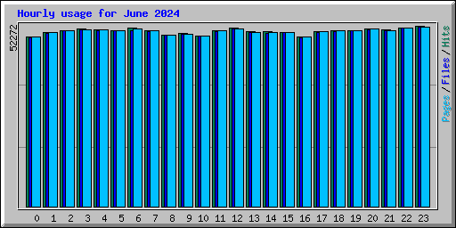 Hourly usage for June 2024