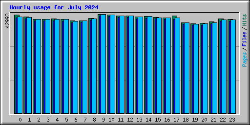 Hourly usage for July 2024