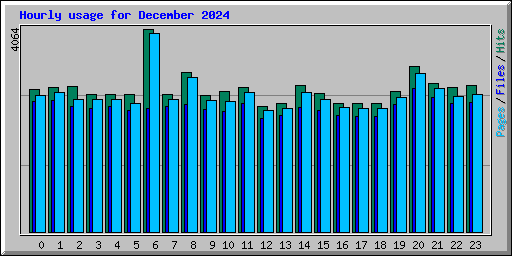 Hourly usage for December 2024