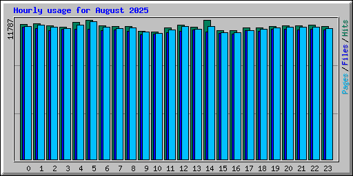 Hourly usage for August 2025