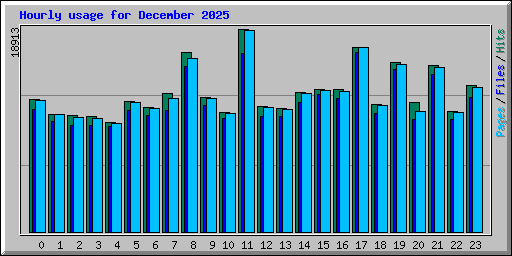 Hourly usage for December 2025