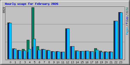 Hourly usage for February 2026