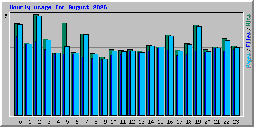 Hourly usage for August 2026